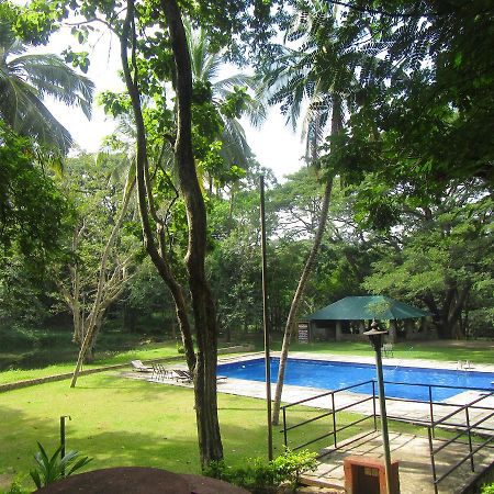 Dambulu Oya Family Park Hotel Dambulla Ngoại thất bức ảnh