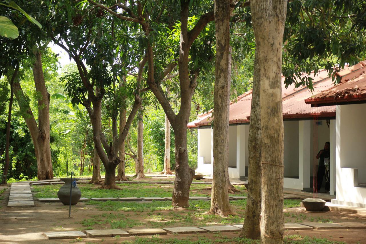 Dambulu Oya Family Park Hotel Dambulla Ngoại thất bức ảnh