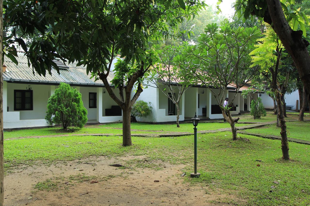 Dambulu Oya Family Park Hotel Dambulla Ngoại thất bức ảnh
