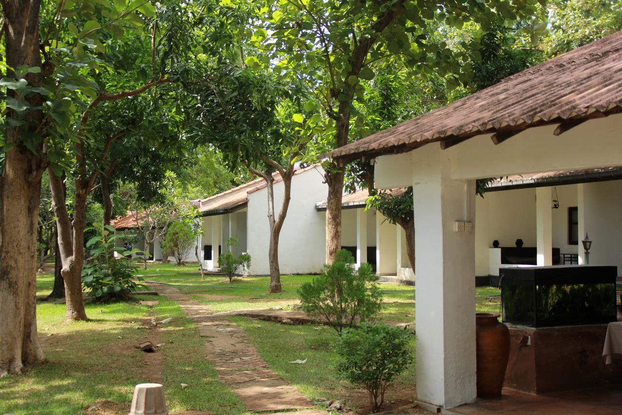 Dambulu Oya Family Park Hotel Dambulla Ngoại thất bức ảnh