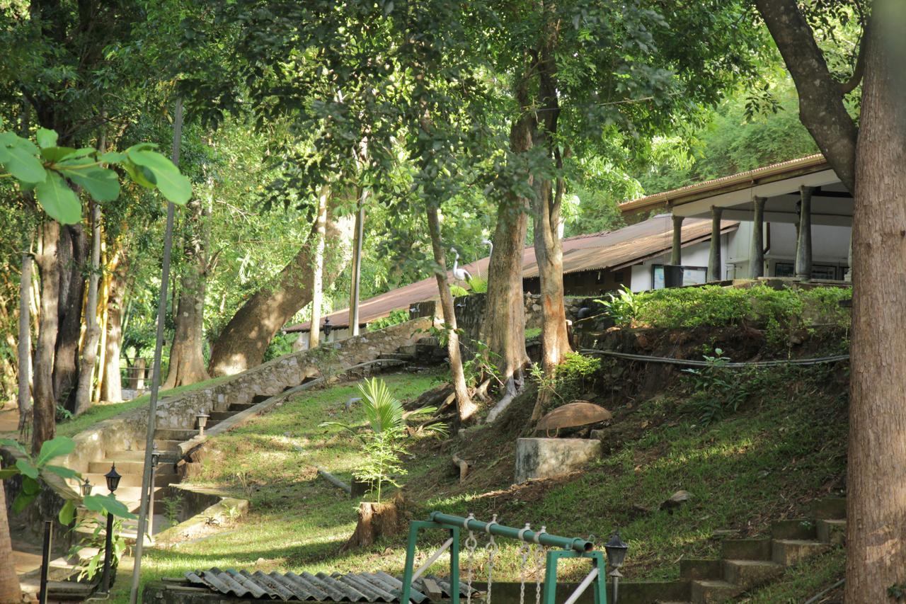 Dambulu Oya Family Park Hotel Dambulla Ngoại thất bức ảnh
