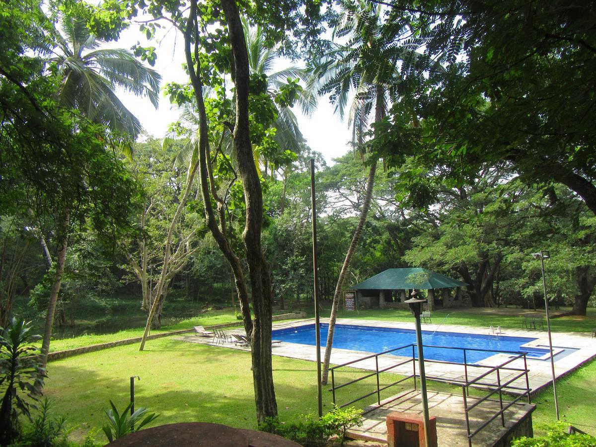 Dambulu Oya Family Park Hotel Dambulla Ngoại thất bức ảnh