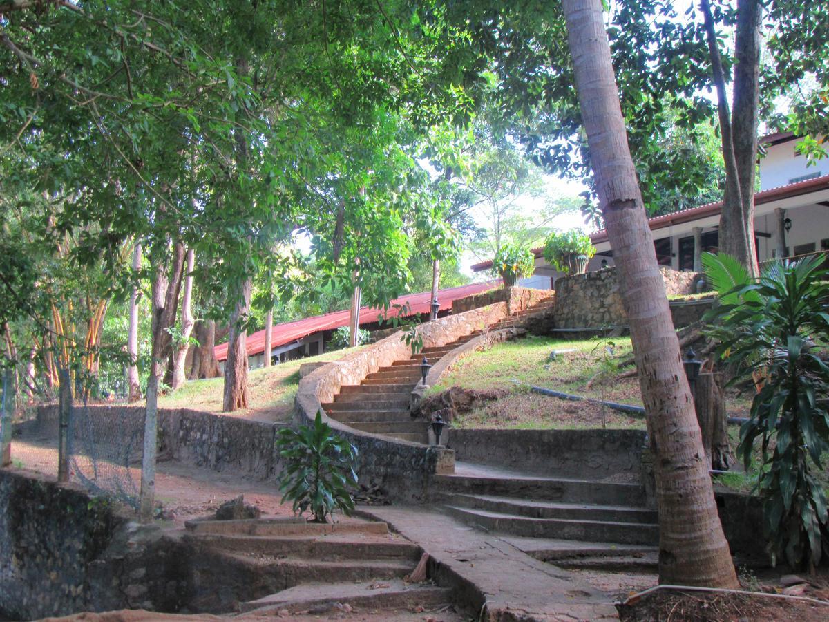 Dambulu Oya Family Park Hotel Dambulla Ngoại thất bức ảnh
