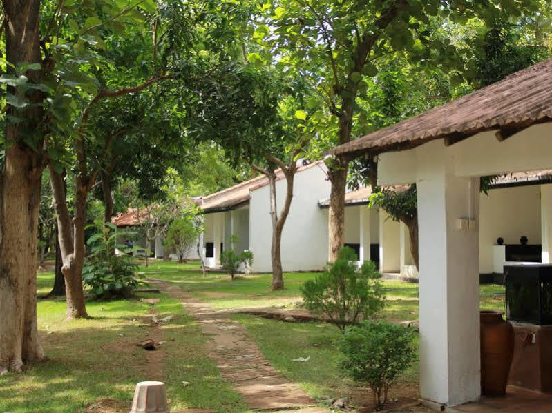 Dambulu Oya Family Park Hotel Dambulla Ngoại thất bức ảnh