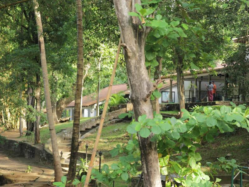 Dambulu Oya Family Park Hotel Dambulla Ngoại thất bức ảnh