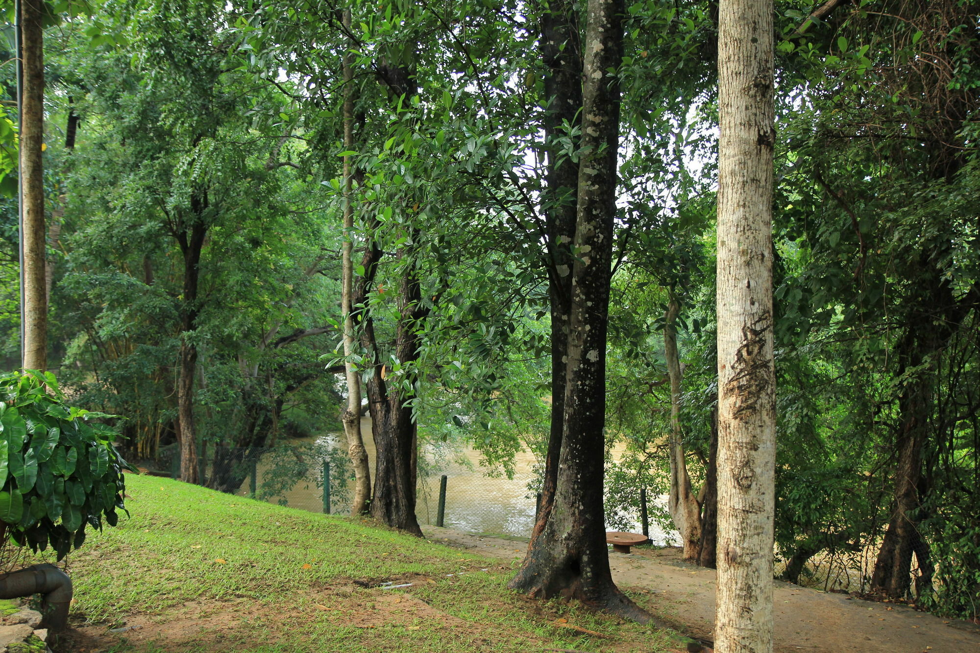 Dambulu Oya Family Park Hotel Dambulla Ngoại thất bức ảnh