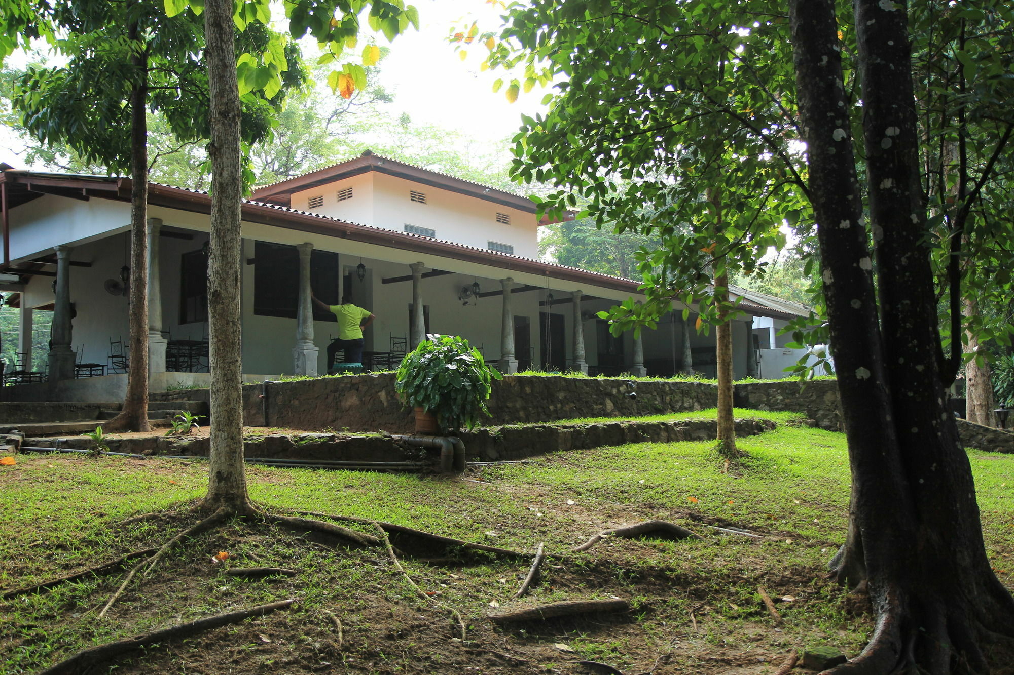 Dambulu Oya Family Park Hotel Dambulla Ngoại thất bức ảnh