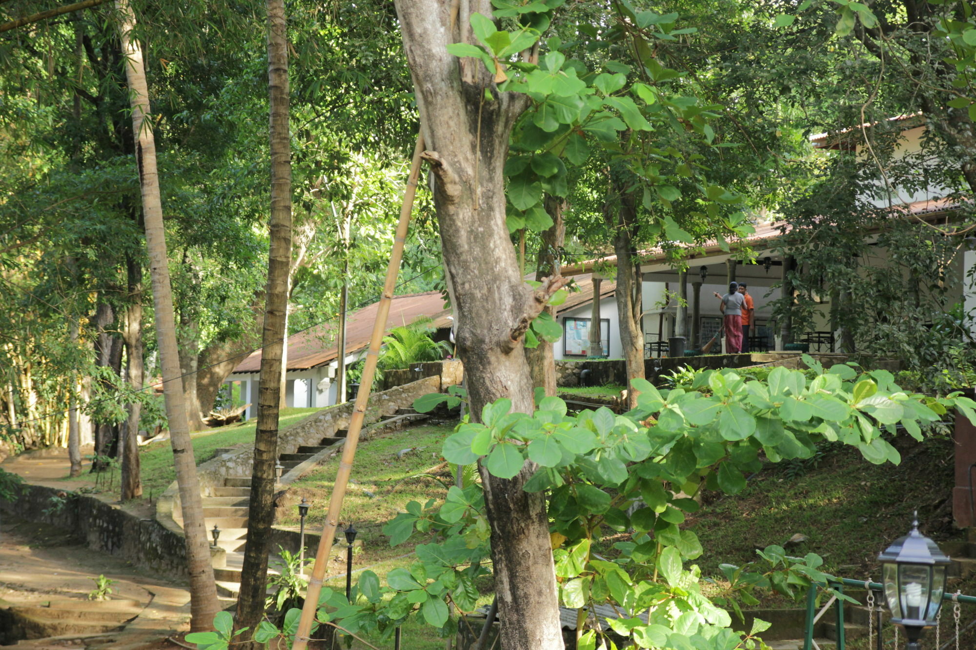 Dambulu Oya Family Park Hotel Dambulla Ngoại thất bức ảnh